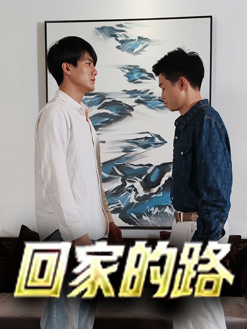 回家的路第21-40集