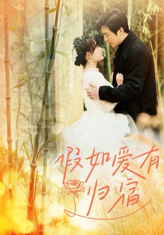 假如爱有归宿全集(大结局)
