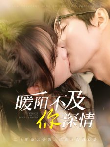 暖阳不及你深情第41-60集