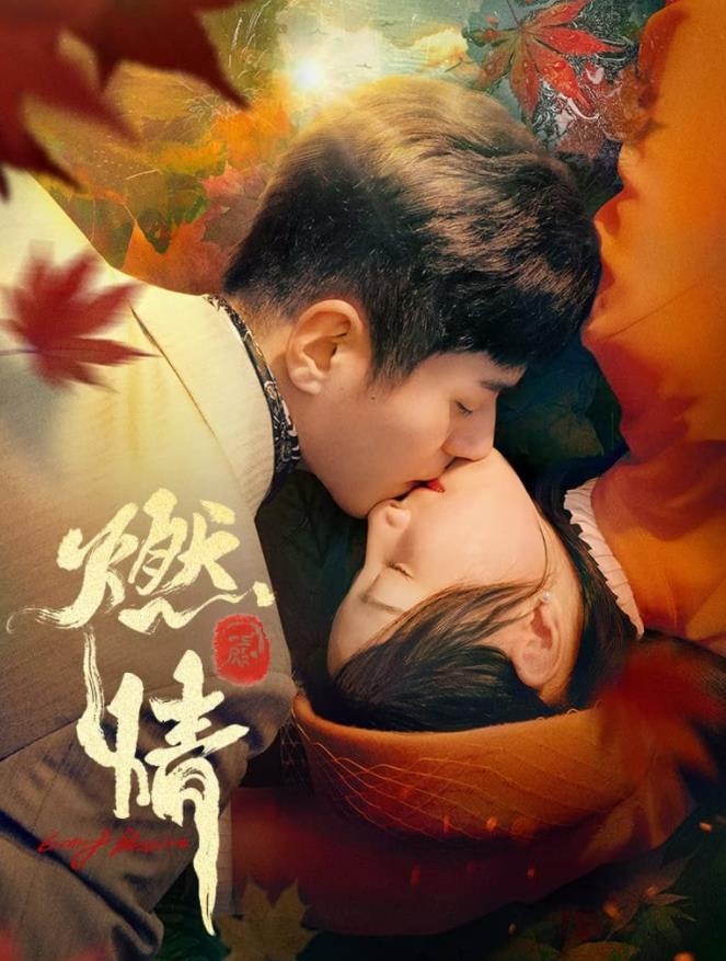 燃情第22集